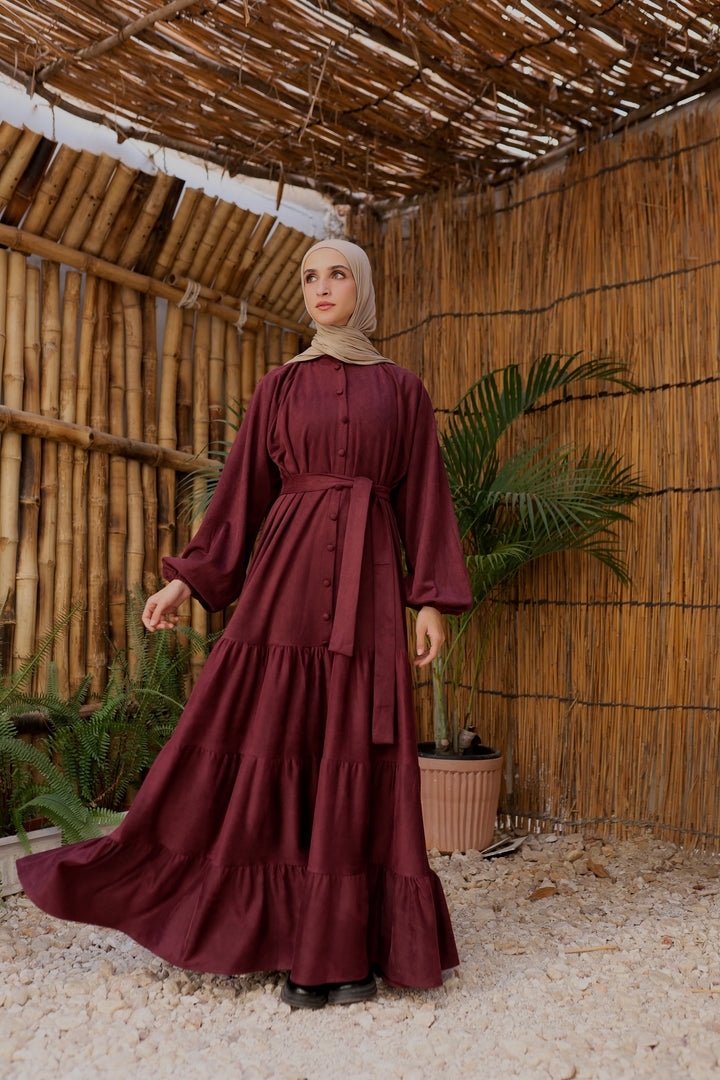 Elara Winter Dress