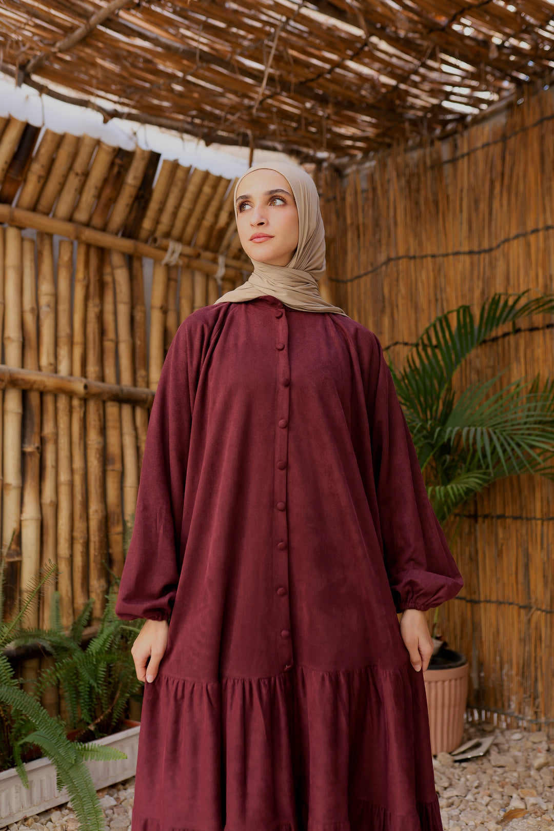 Elara Winter Dress