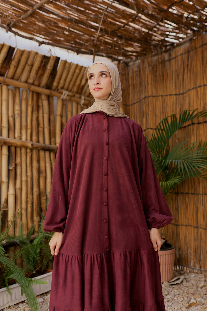 Elara Winter Dress